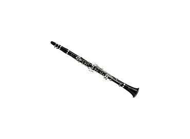 Picture for category Wind & woodwind Instruments