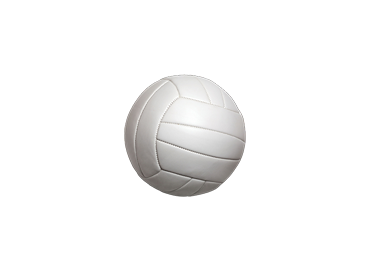Picture for category Volleyball