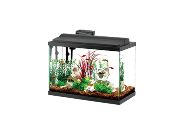 Picture for category Fish Supplies