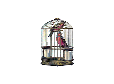 Picture for category Bird Supplies