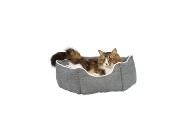 Picture for category Cat Supplies