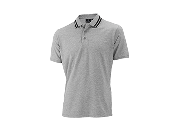 Picture for category Polos