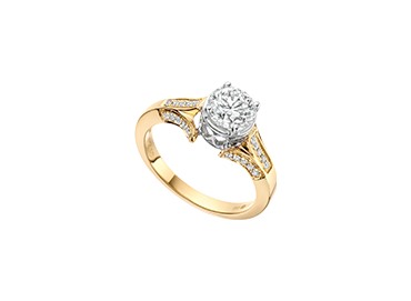 Picture for category Rings